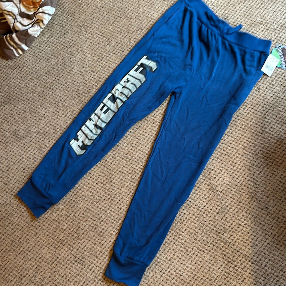 NEW Minecraft Boys size Large sweatpants